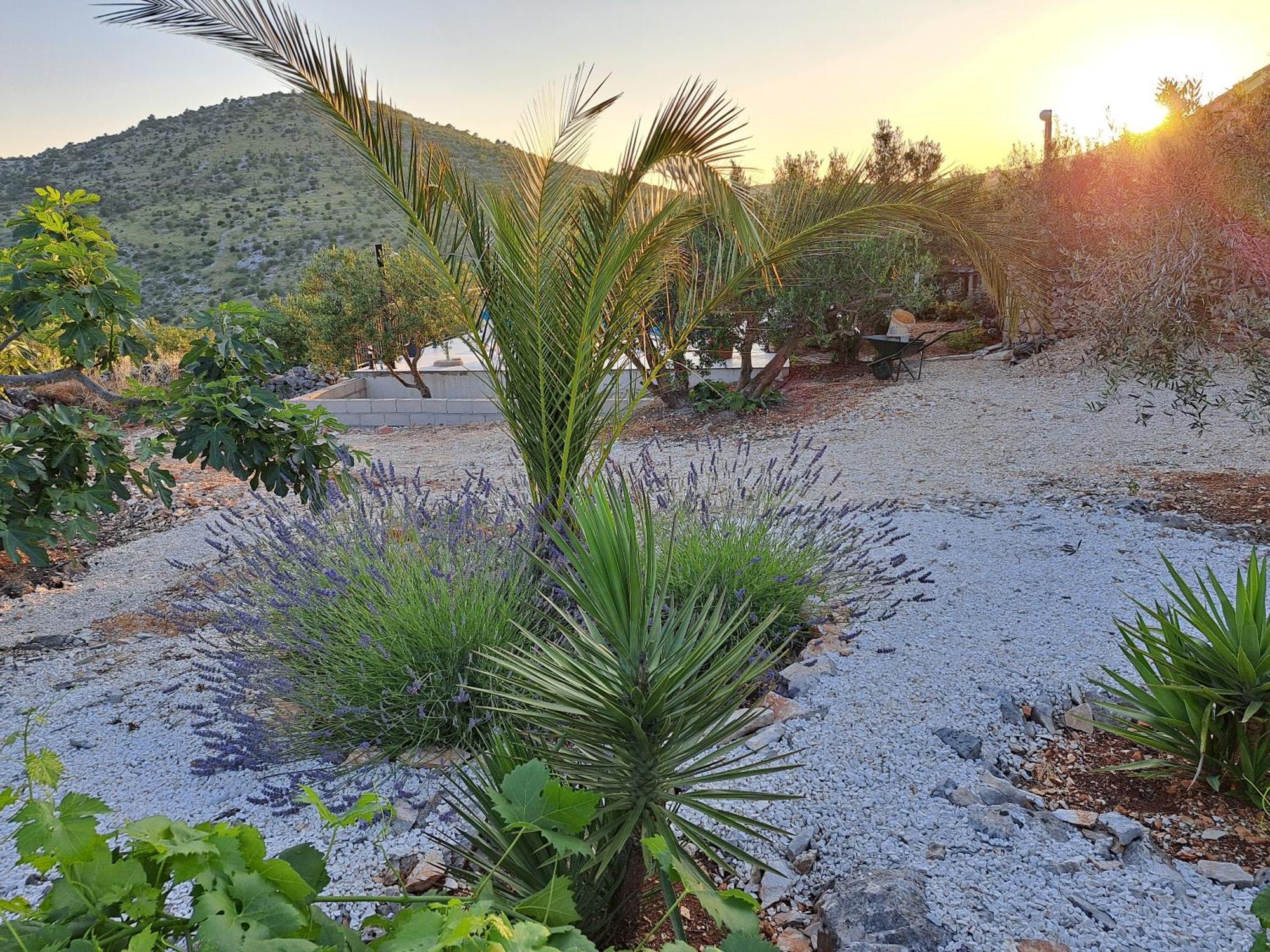 Villa Casa Mia Gornji Seget المظهر الخارجي الصورة