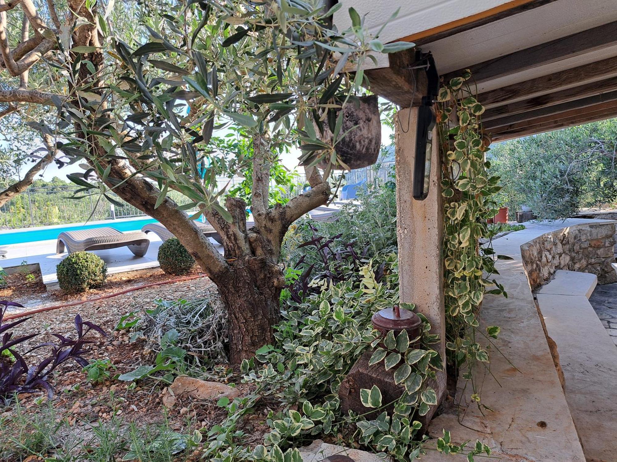 Villa Casa Mia Gornji Seget المظهر الخارجي الصورة